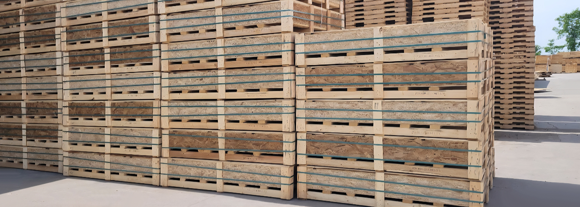 pallet-crate-supplier-ontario-2 pallet crate supplier ontario 2